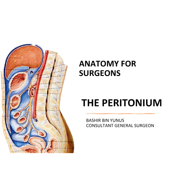 ANATOMY OF THE PERITONIEUM