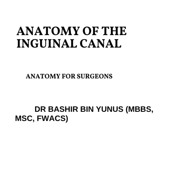 Inguinal Canal
