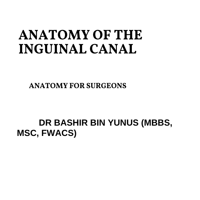 Inguinal Canal