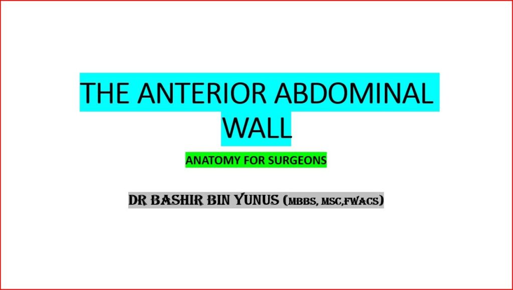THE ANTERIOR ABDOMINAL WALL
