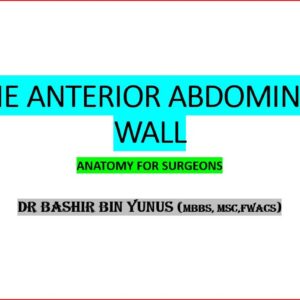 THE ANTERIOR ABDOMINAL WALL