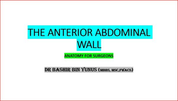 THE ANTERIOR ABDOMINAL WALL
